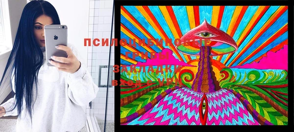 круглые Алексеевка