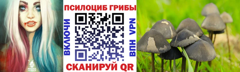 Галлюциногенные грибы Cubensis Пугачёв